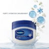 Vaseline Skin Protecting Jelly Plus Original